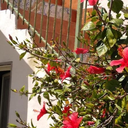 Casale Hibiscus Vila Santa Maria del Focallo Exterior foto