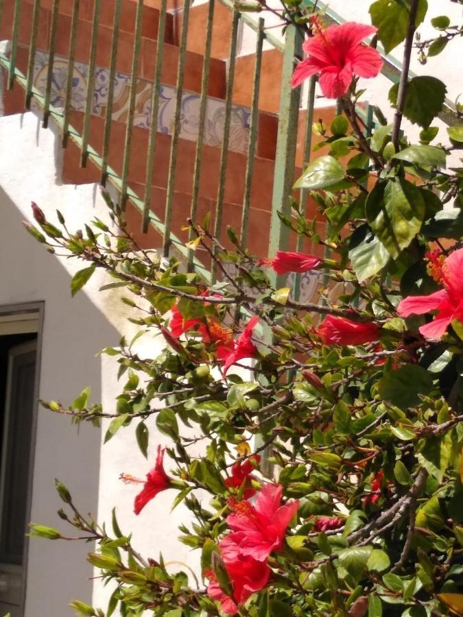 Casale Hibiscus Vila Santa Maria del Focallo Exterior foto
